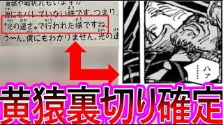 【ワンピース】最新110巻SBSにて黄猿の裏切りが遂に明言されてしまい驚く読者の反応集【ゆっくりまとめ】