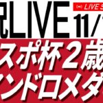 11/16(土) 東スポ杯２歳Ｓ・アンドロメダＳ・キビタキＳ2024 – その２【タイム指数＆AI予想で見る中央競馬／AIボイス実況】