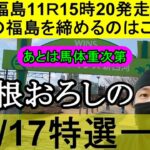 【競馬予想】11月17日の特選一鞍【大根おろし】