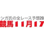 11月17日東京競馬【全レース予想】2024霜月S