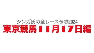 11月17日東京競馬【全レース予想】2024霜月S