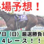 【平場競馬予想】11月17日の厳選競馬予想4レース！