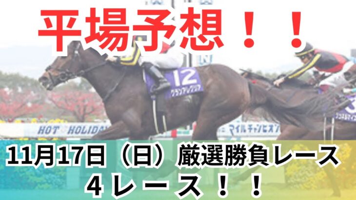 【平場競馬予想】11月17日の厳選競馬予想4レース！