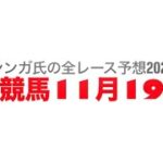 11月19日浦和競馬【全レース予想】2024まがたま賞