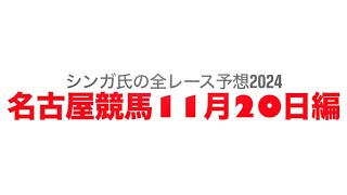 11月20日名古屋競馬【全レース予想】2024くじゃく座特別