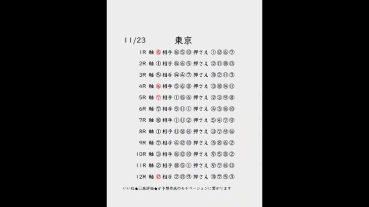 11/23東京競馬予想表