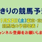 ちきりの競馬予想！　11月23日（祝）東京・京都競馬場の予想発表！