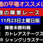 [平場オススメレースと障害レースの予想]11月23日土曜日版　障害未勝利戦　カトレアステークス　シャングリラステークス