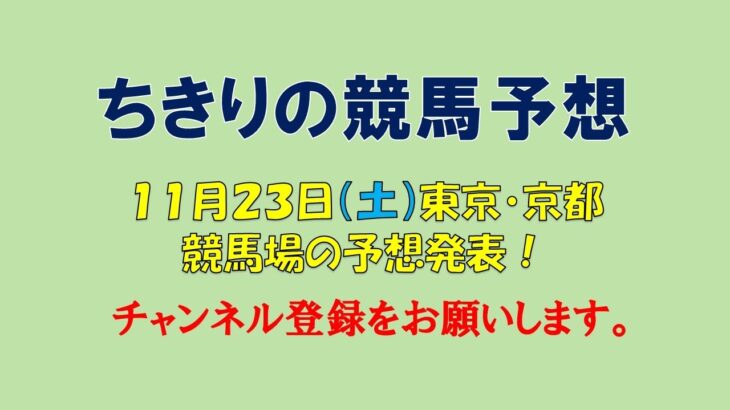 ちきりの競馬予想！　11月23日（祝）東京・京都競馬場の予想発表！