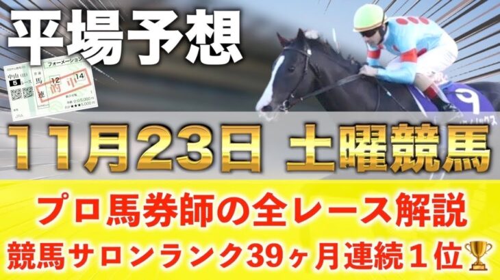 【11月23日土曜競馬予想】10週連続の新馬戦的中へ‼️プロが平場全レース予想を無料公開！【平場予想】