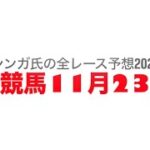 11月23日東京競馬【全レース予想】2024キャピタルS