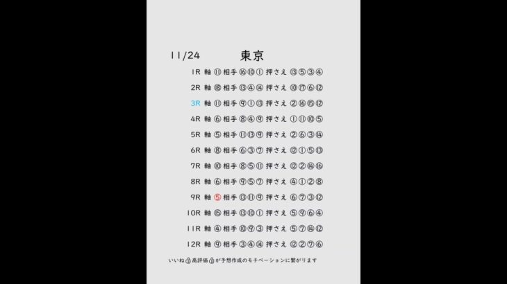 11/24東京競馬予想表