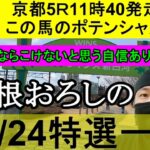 【競馬予想】11月24日の特選一鞍【大根おろし】