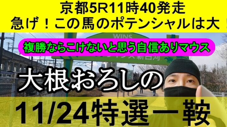 【競馬予想】11月24日の特選一鞍【大根おろし】