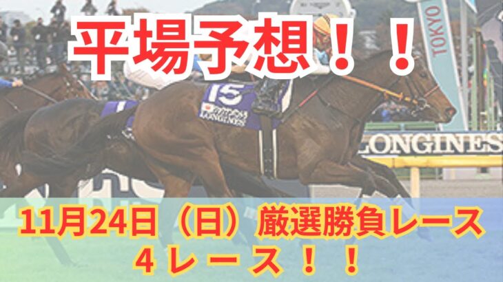 【平場競馬予想】11月24日の厳選競馬予想4レース！