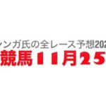 11月25日水沢競馬【全レース予想】2024ハヤテ特別