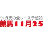 11月25日船橋競馬【全レース予想】2024出雲流スプリント