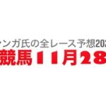 11月28日船橋競馬【全レース予想】2024チバテレ盃