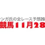 11月28日園田競馬【全レース予想】2024ヒイラギ賞