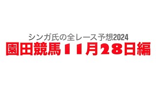 11月28日園田競馬【全レース予想】2024ヒイラギ賞