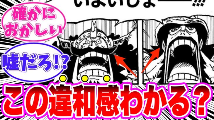 【最新1131話】ハイルディンとスタンセンについてある事に気がついてしまった読者の反応集【ワンピース】