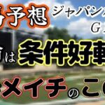 【競馬予想】ジャパンカップ　Ｇ1　2024