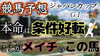 【競馬予想】ジャパンカップ　Ｇ1　2024