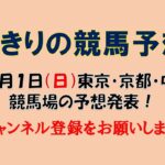 ちきりの競馬予想！　12月1日（日）中山・京都・中京競馬場の予想発表！