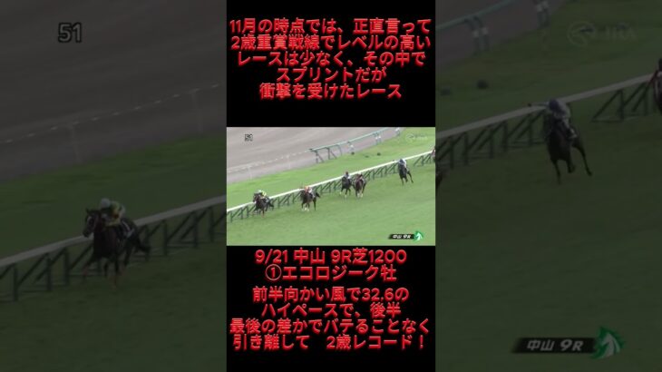 有力2歳馬情報　エコロジーク牡　#競馬 #競馬予想 #ウマ娘