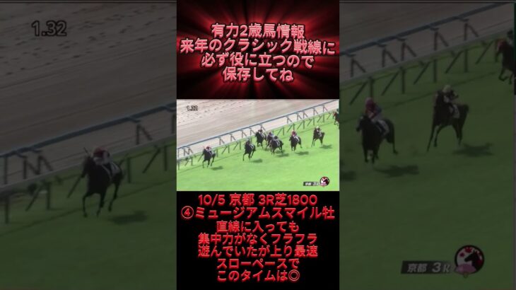 有力2歳馬情報　ミュージアムスマイル牡　#競馬 #競馬予想 #ウマ娘