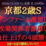 【 最終結論 】京都2歳ステークス 2024 予想 ノーザンファーム激推し馬と大手牧場関係者激推し馬の勝負仕上げの４頭勝負！！【中央競馬予想】