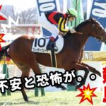 【競馬】20万円の大勝負するとなるともうさぁ・・・ #予想 #競馬 #マイルCS