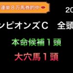 【競馬予想】　チャンピオンズカップ　2024  全頭診断　　　事前予想