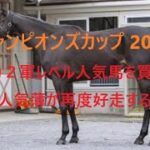 チャンピオンズカップ 2024 実力２軍レベルの人気馬を買うな 人気薄が再度好走する理由