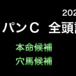 【競馬予想】　ジャパンカップ　2024  全頭診断　事前予想