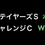 【競馬予想】　ステイヤーズステークス　チャレンジカップ　2024  予想