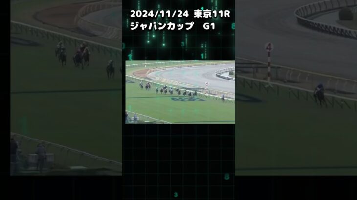 ジャパンカップ2024 もちおの当たらない予想　#競馬 #競馬予想 #競馬予想動画 #ジャパンカップ #ドウデュース #チェルヴィニア