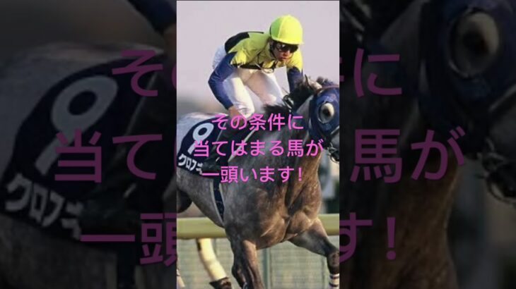 チャンピオンズカップ 2024 サイン馬券予想 ピックアップ1頭  #競馬 #武豊   #穴馬 #g1 #競馬予想 #競馬予想 #クロフネ