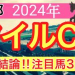 【マイルチャンピオンシップ2024】蓮の競馬予想(最終結論)