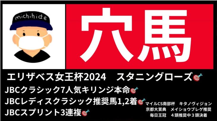 マイルチャンピオンシップ2024の競馬予想。穴馬ならこの２頭。動画は最後まで聞いて下さい。