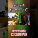 ジャパンカップ2024　キセキの猫仁の競馬予想