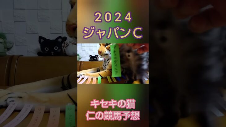 ジャパンカップ2024　キセキの猫仁の競馬予想