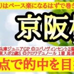 【京阪杯2024】◎前走よりはペース遅くなるはずでポジション取れれば巻き返しある！