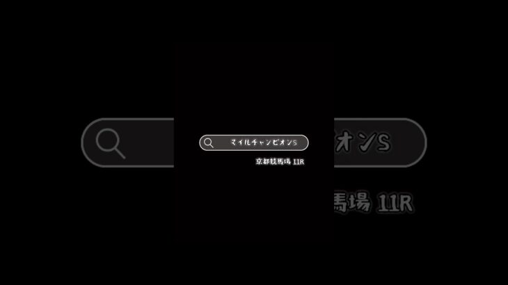 初心者による自分のための競馬予想#マイルチャンピオンシップ 2024#京都競馬場