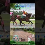 チャンピオンズカップ2024競馬予想