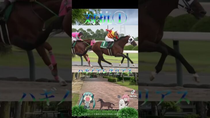 チャンピオンズカップ2024競馬予想