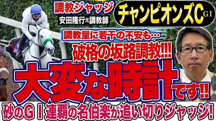 【チャンピオンズカップ2024】安田隆行元調教師が調教ジャッジ　「動き」「時計」「調教過程」を採点しピックアップした３頭を発表！《東スポ競馬ニュース》