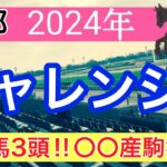 【チャレンジカップ2024】蓮の競馬予想