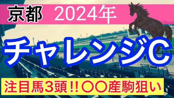 【チャレンジカップ2024】蓮の競馬予想