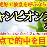 【チャンピオンズカップ2024】◎枠も良く状態も良さそうで脚質もこのレースに合うあの穴馬の激走に期待！